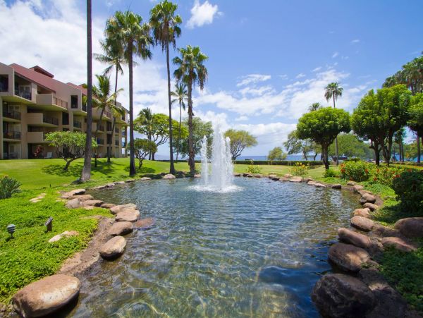 Spacious and Serene 3-Bedroom condo in South Kihei