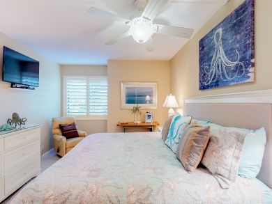 Indian Rocks Indian Shores Condo 913677