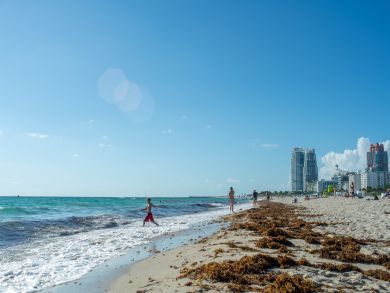 Miami Beach Condo 913678 Miami Beach Condo 913678