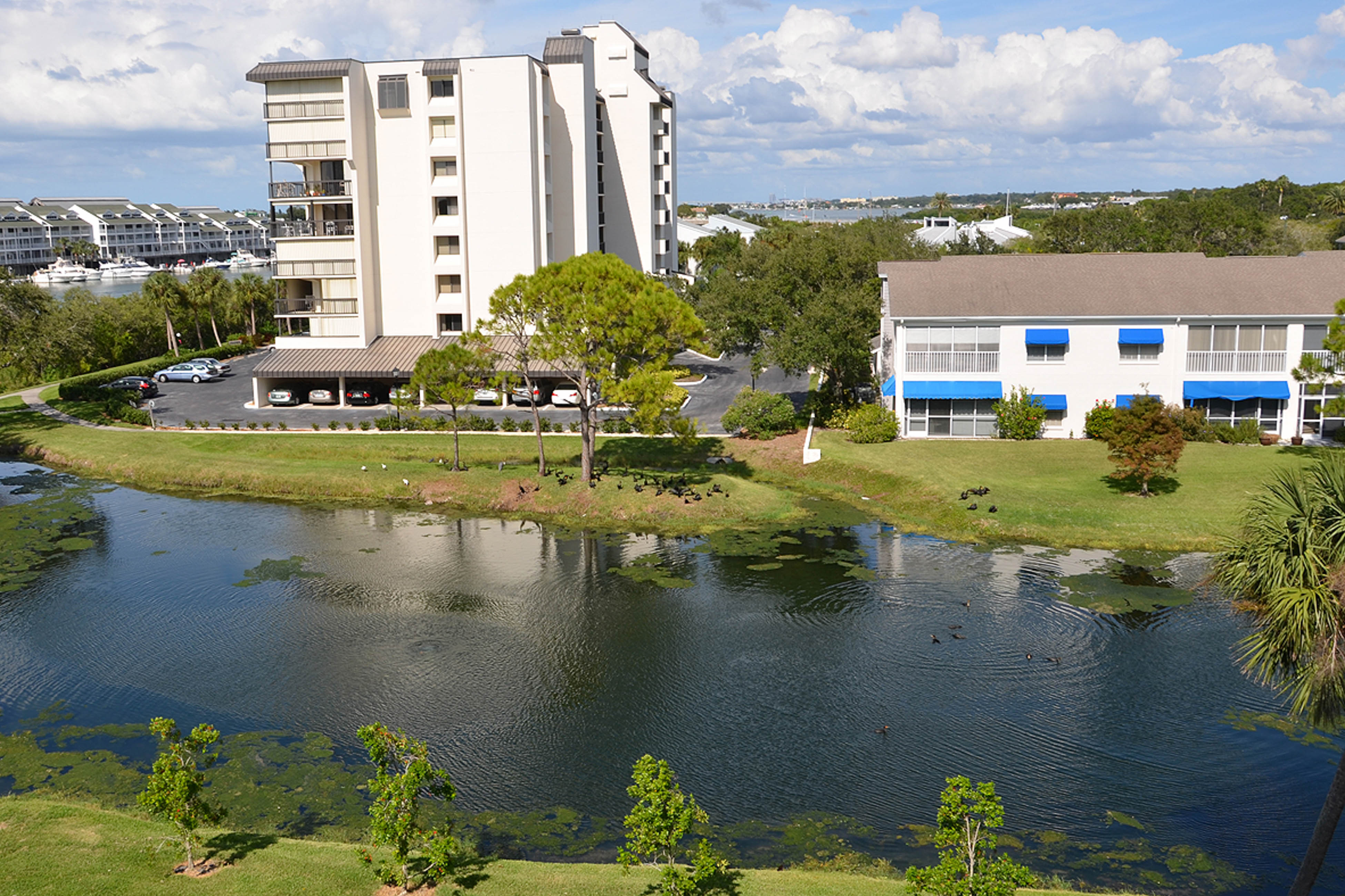Indian Rocks Indian Shores Condo 913690 Indian Rocks Indian Shores Condo 913690