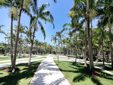 Miami Beach Condo 913719