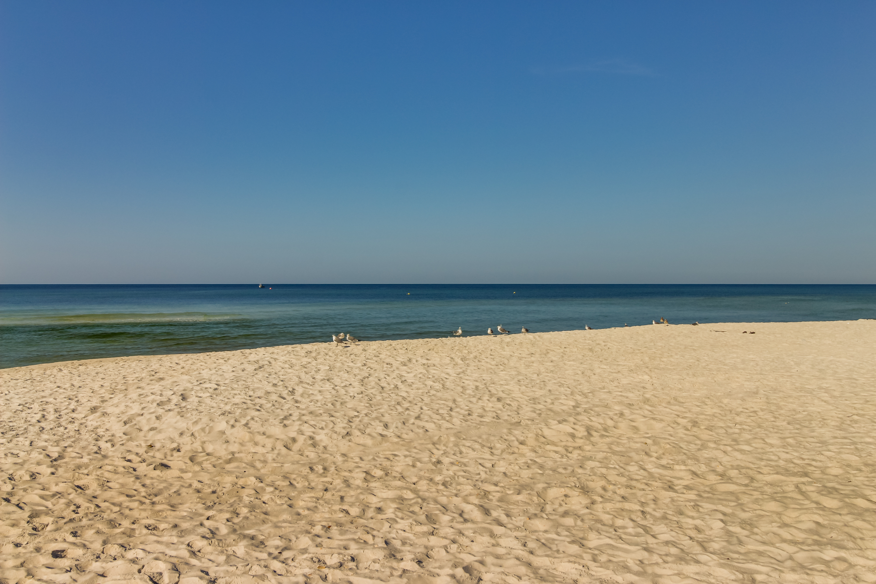 Panama City Beach Condo 913721 Panama City Beach Condo 913721