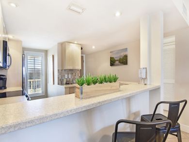 New Smyrna Beach Condo 913725