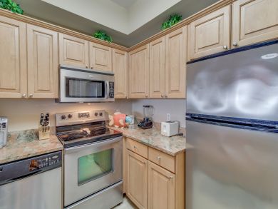 Beaches Of South Walton Condo 913728