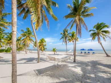 The Florida Keys Home 913765