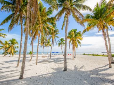 The Florida Keys Home 913765