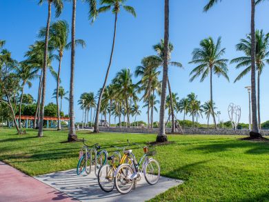Miami Beach Condo 913768