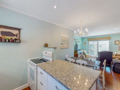 New Smyrna Beach Condo 913804