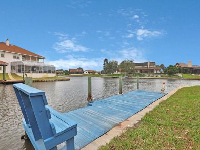 Palm Coast Home 913810