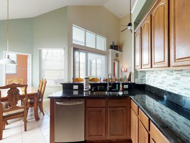 Orlando Home 913819