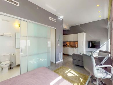 Miami Beach Condo 913840