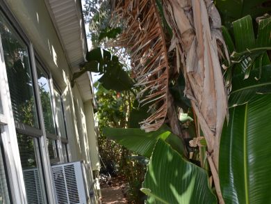 Indian Shores Ai Condo 913863