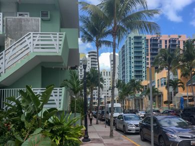 Miami Beach Condo 913886