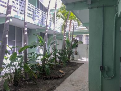 Miami Beach Condo 913886