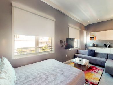 Miami Beach Condo 913889