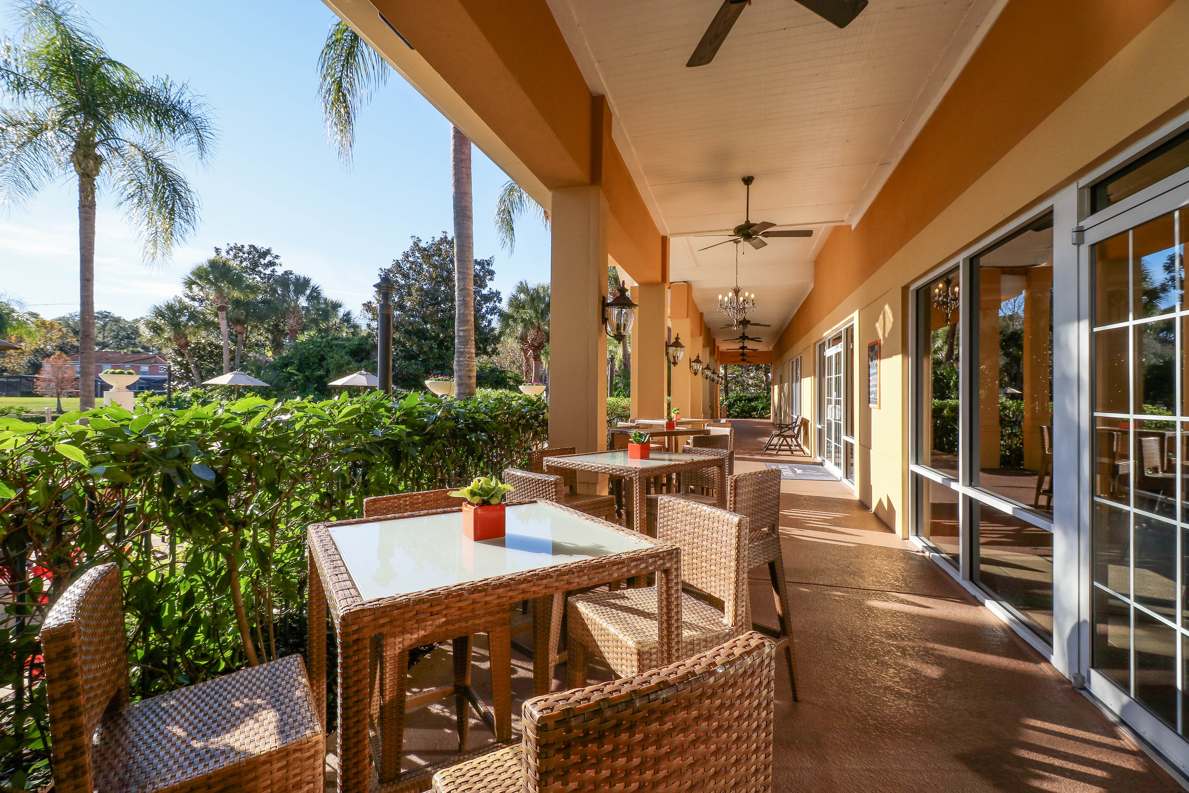 Orlando Home 913914