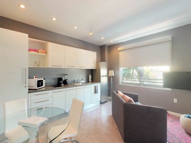 Miami Beach Condo 913945 Miami Beach Condo 913945