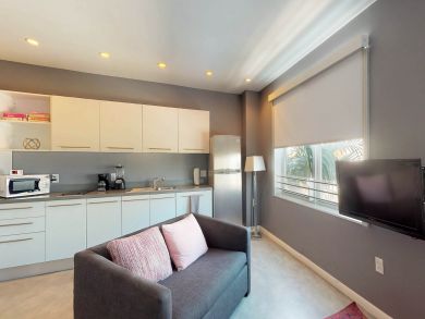 Miami Beach Condo 913945 Miami Beach Condo 913945