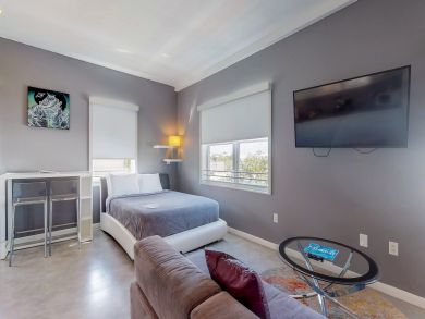 Miami Beach Condo 913963