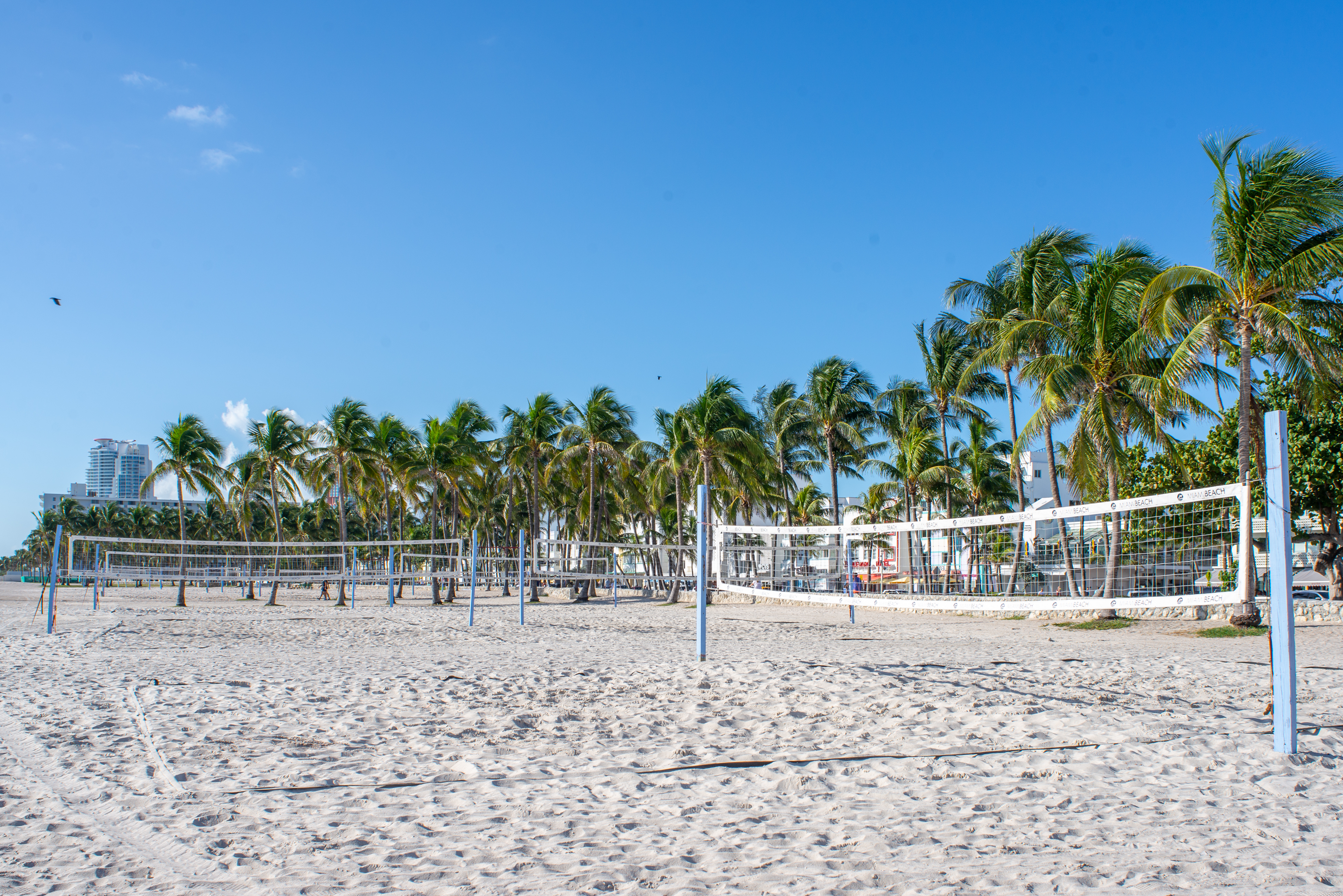 Miami Beach Condo 913963