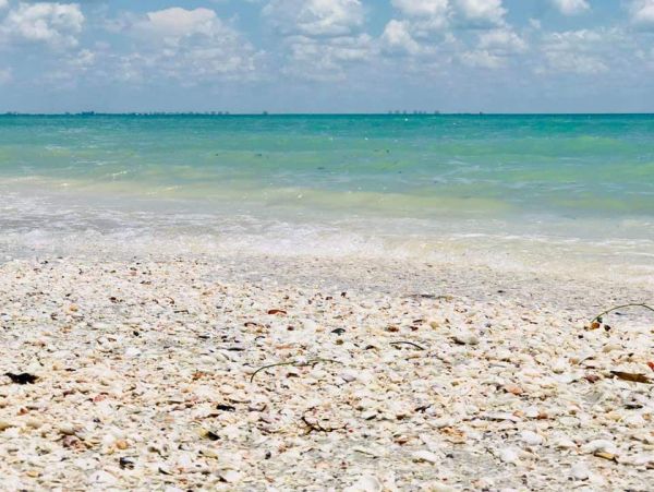 Sanibel Vacation Condo Two Bedroom On Beach