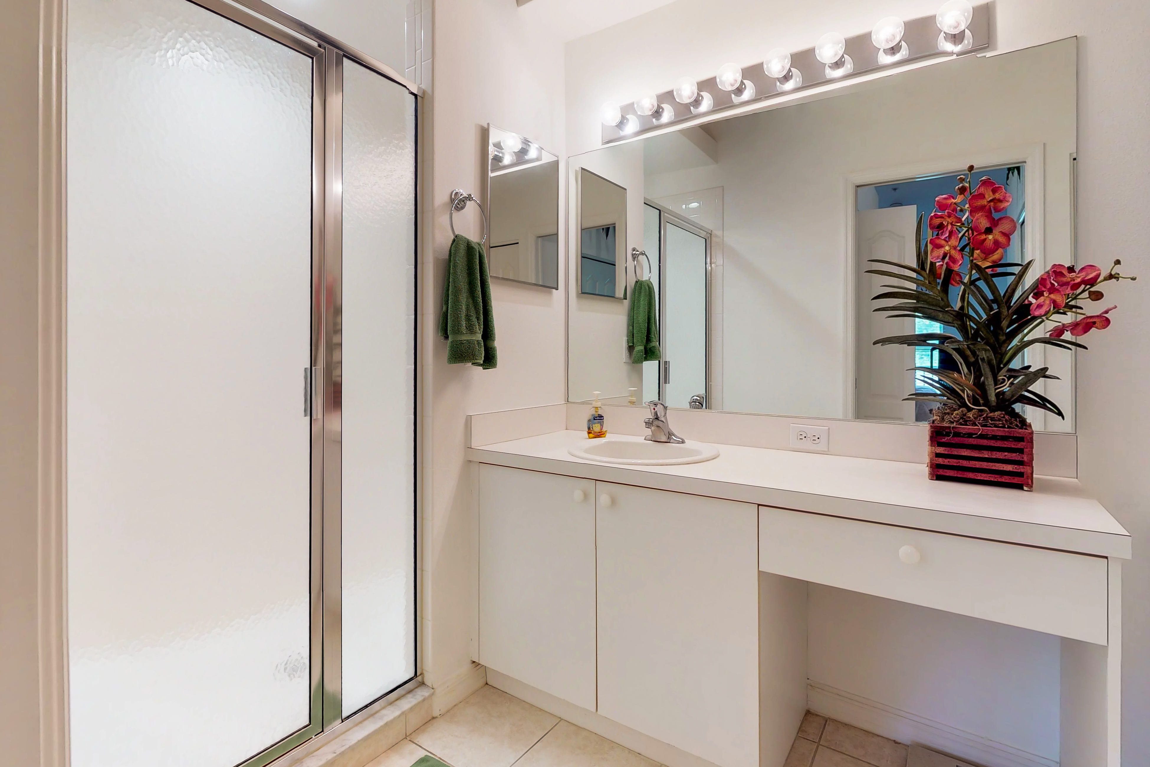 Sarasota Condo 913993