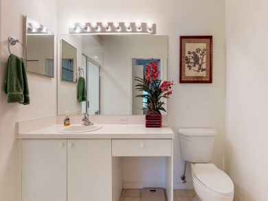 Sarasota Condo 913993
