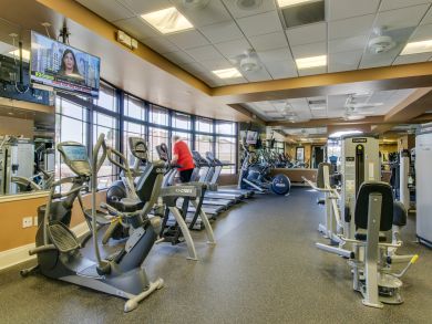 Sarasota Condo 913993