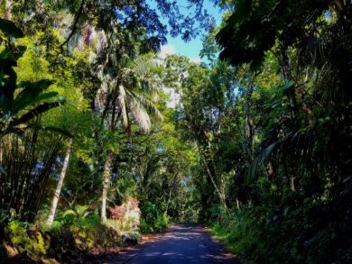 Hawaii Home Set within Three Acres of Tropical Grounds