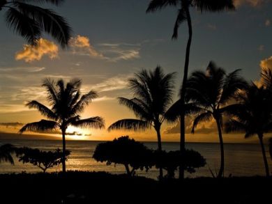 Charming Condo Vacation Rental on Lahaina Maui.