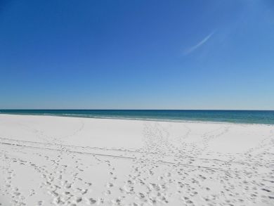 Two Bedroom Beachfront Vacation Condo Rental Sleeps Seven