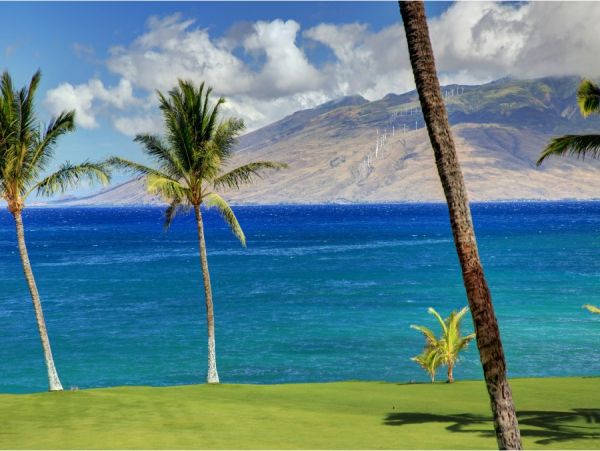 Great Value Kihei Vacation Condo On Beach Sleeps Four