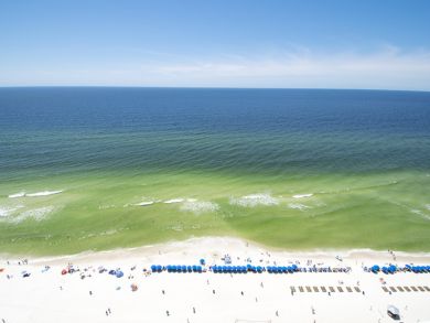 Panama City Beach Condo 915659