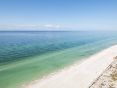 Panama City Beach Condo 915683