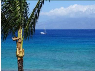 Lahaina Vacation Condo Rental Sleeps Eight Guests