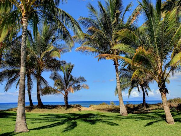 Kihei Maui Luxury Beach House 4 Bedrooms Private Pool