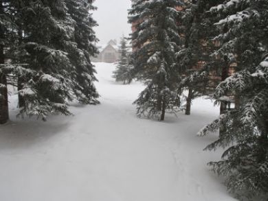 Vail Vacation Accommodation