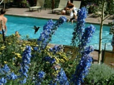 Vail Vacation Accommodation