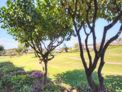 Three Bedroom Wailea Vacation Rental Condo Sleeps Eight