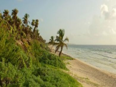 Tulum Vacation Home Sleeps Ten Guests.