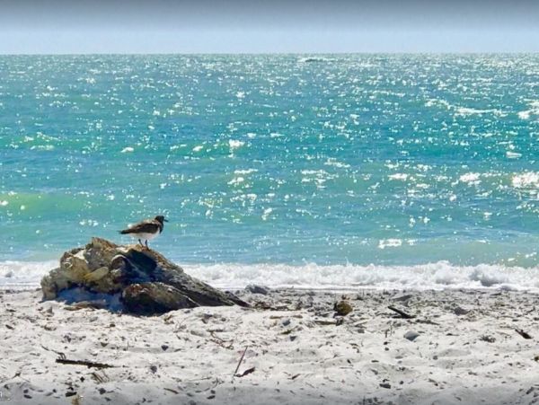 Captiva Vacation Rental Home Seven Bedrooms
