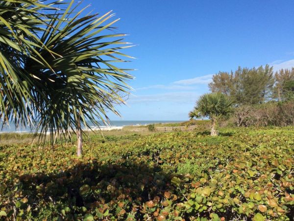 Sanibel Vacation Rental Beach Condo Two Bedrooms