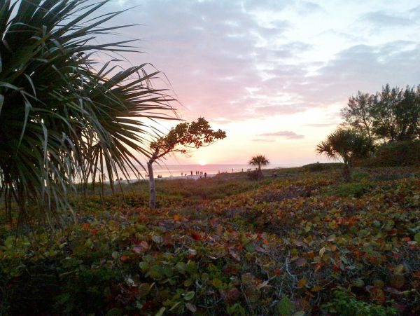 Sanibel Vacation Rental Beach Condo Two Bedrooms