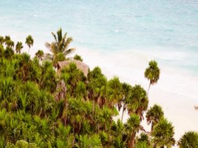 Tulum Vacation Home Sleeps Ten Guests. Tulum Vacation Home Sleeps Ten Guests.