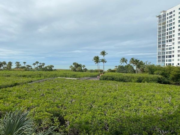 Naples Vacation Condo Two Bedroom Walk to Beach