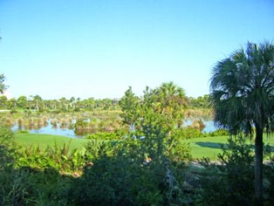 Bonita Springs Condo 916457
