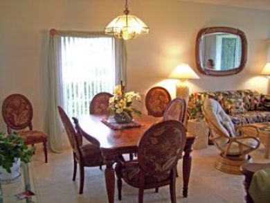 Bonita Springs Condo 916457