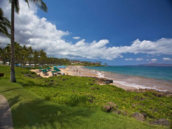 Wailea Ground Floor Luxury Residence