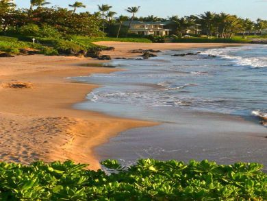 Wailea Luxury Ocean Front, 4 Bedrooms, Private Pool
