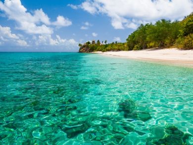 One Bedroom Luxury Condo on the British Virgin Islands
